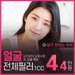 얼굴전체필러
